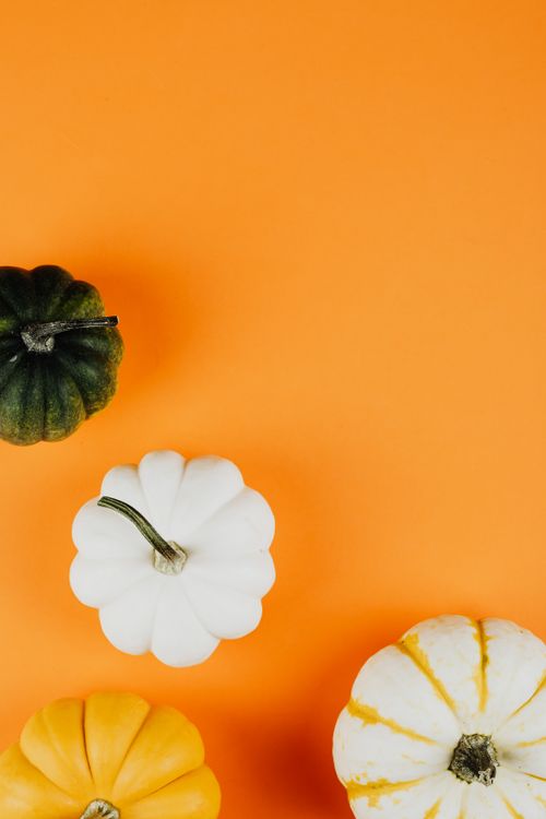 Free A close-up view of diverse pumpkins arranged on a vibrant orange backdrop, symbolizing autumn. Stock Photo