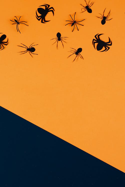 Black Paper Spiders on Orange and Black Background