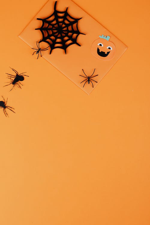 Paper and Plastic Halloween Decorations 