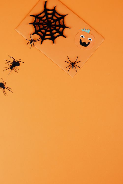 Free Creative Halloween-themed flat lay with orange backdrop, spiders, and pumpkin decor. Stock Photo