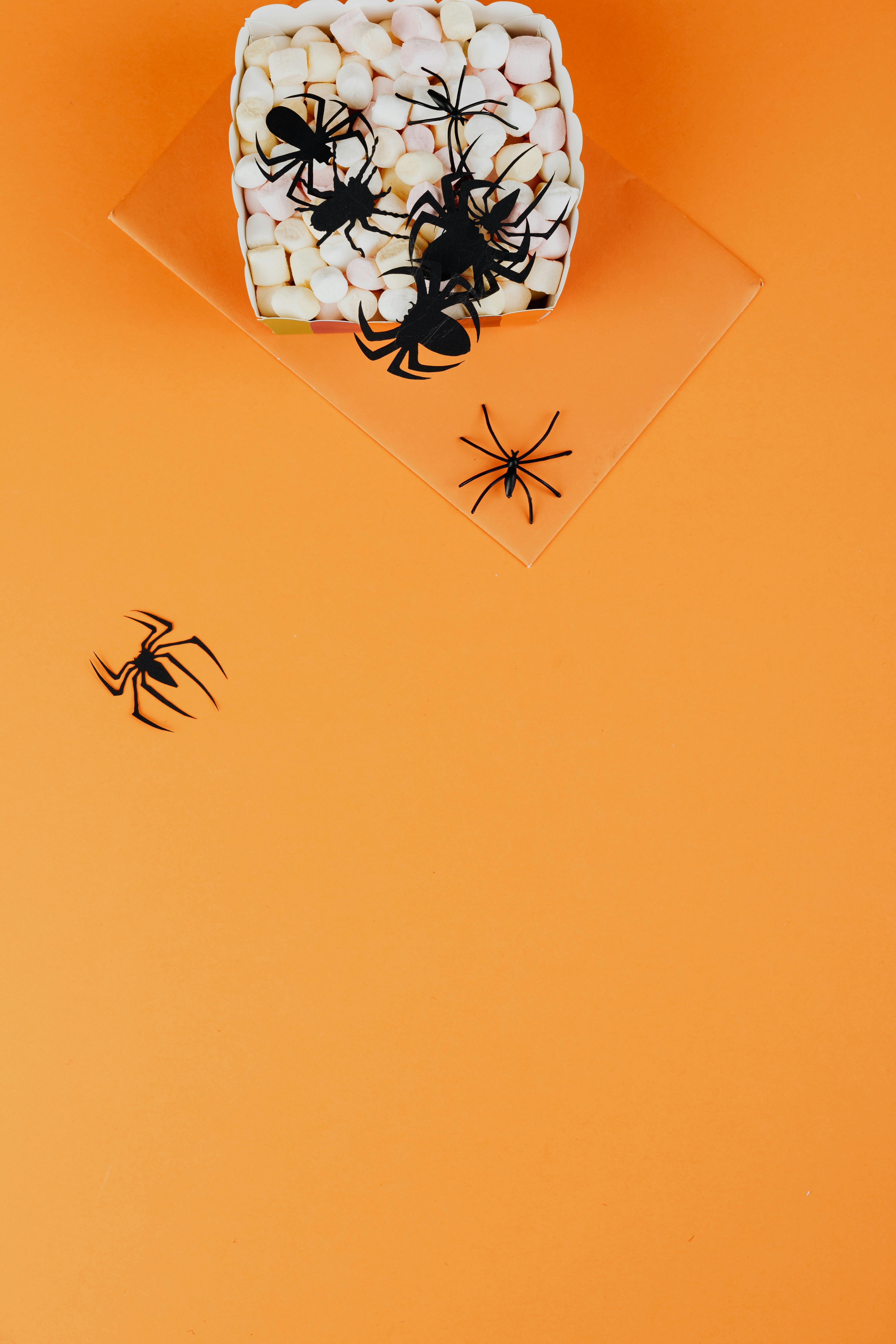 橙色背景上，塑料蜘蛛搭配糖果，非常适合万圣节主题