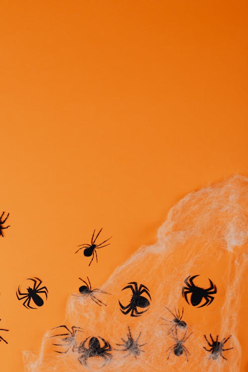 Black Paper Spiders on Orange Background