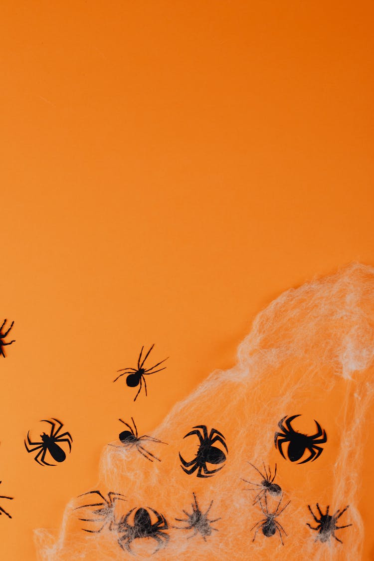 Black Paper Spiders On Orange Background