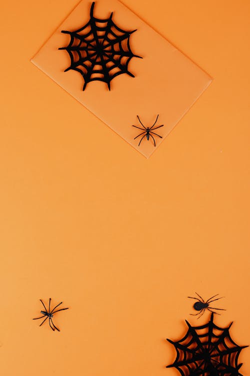 Black Paper Spiders on Orange Background