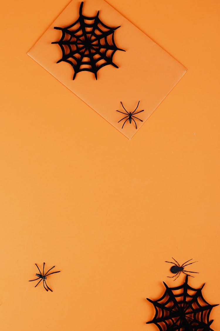 Black Paper Spiders On Orange Background