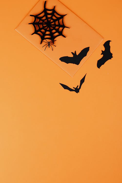 Black Paper Spider and Bats on Orange Background