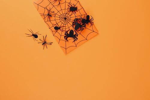 Black Paper Spiders on Orange Background