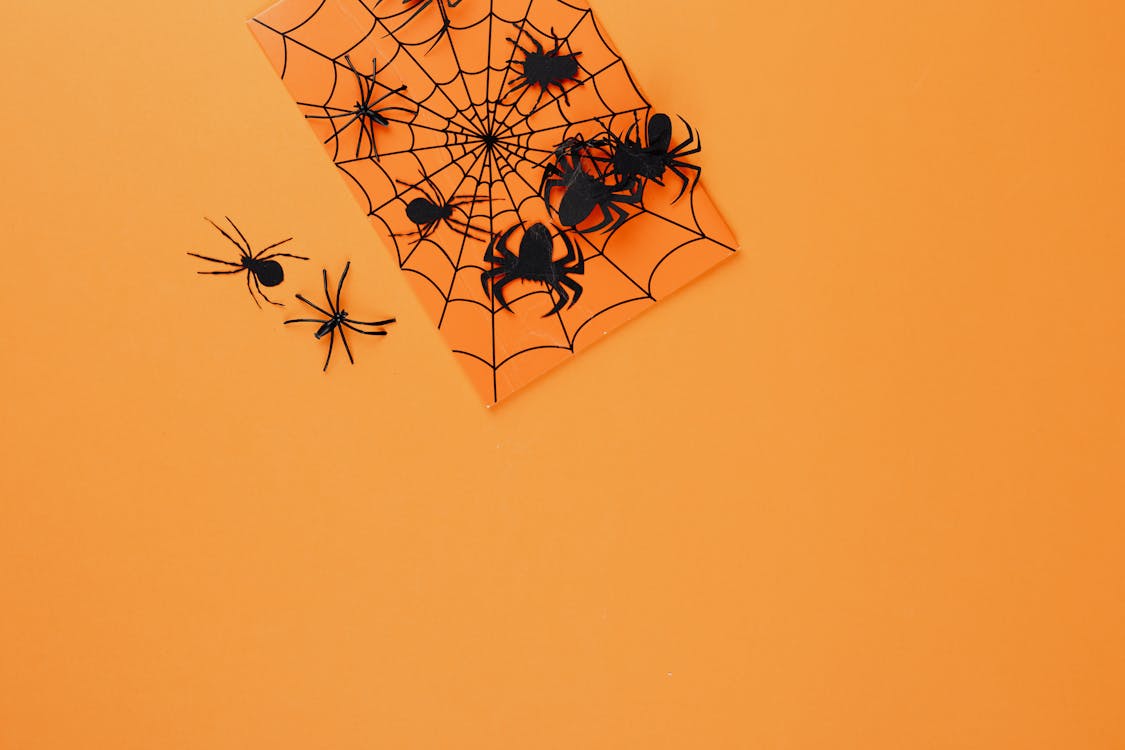 Black Paper Spiders on Orange Background