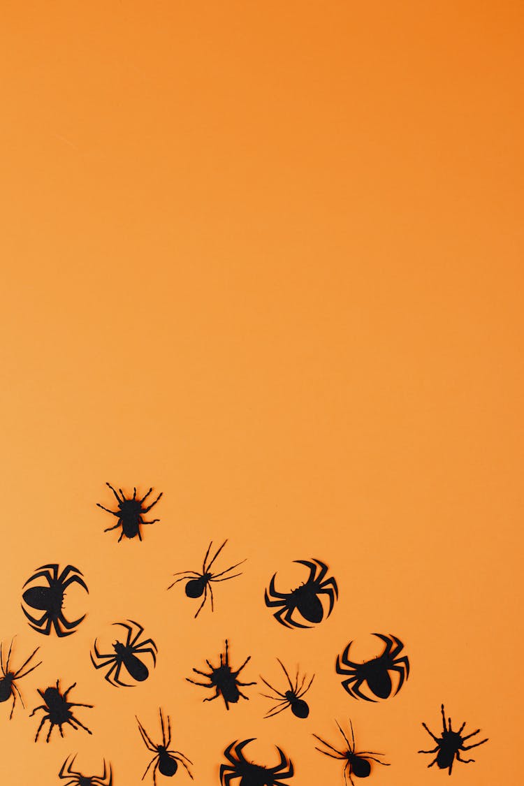 Black Paper Spiders On Orange Background