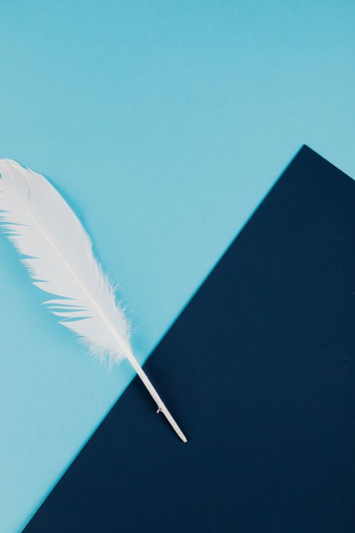 Free A delicate white feather rests on a minimalist geometric blue background, providing copy space. Stock Photo