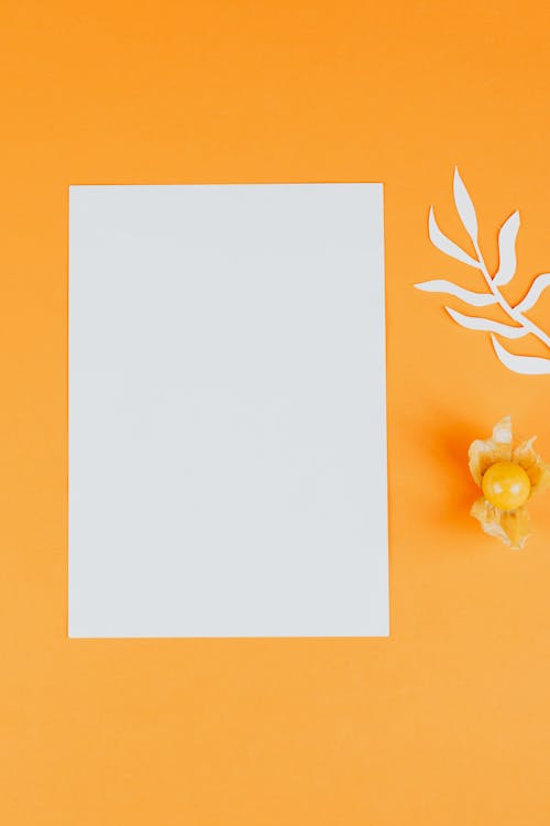 Sheet of Paper against an Orange Background