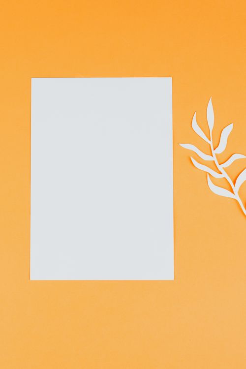 Free Simple flat lay design featuring a blank white sheet and a leaf cutout on an orange background. Stock Photo