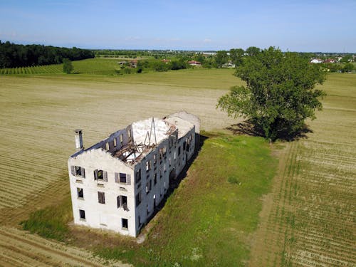 Základová fotografie zdarma na téma abbandonata, albero, dům