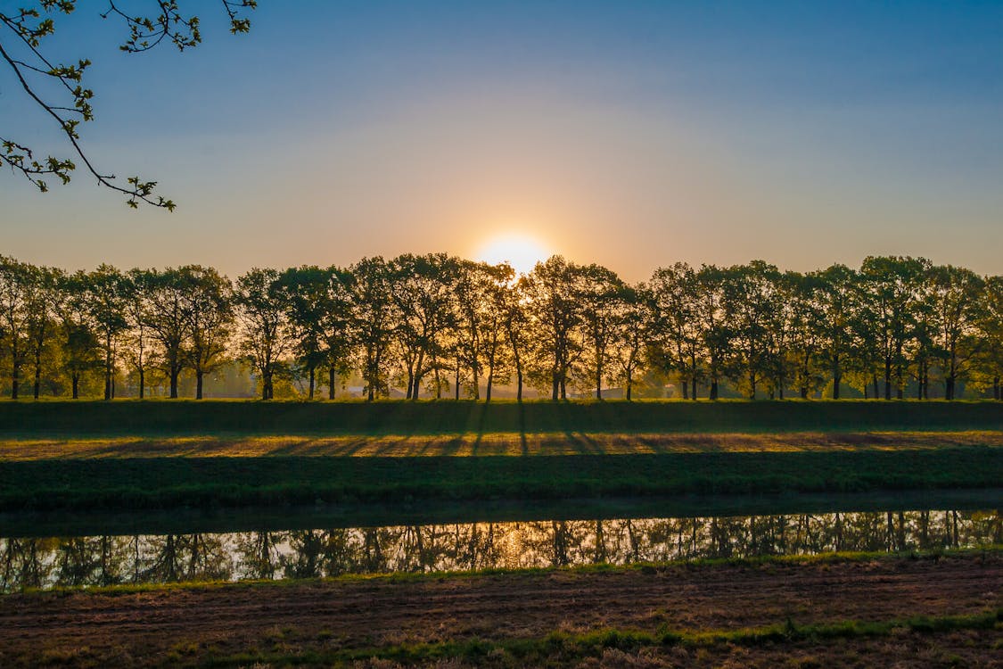 Free River Near Trees Stock Photo