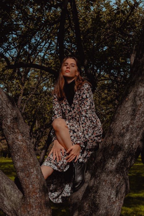 Vista panorâmica da cidade de Tbilisi ao entardecer