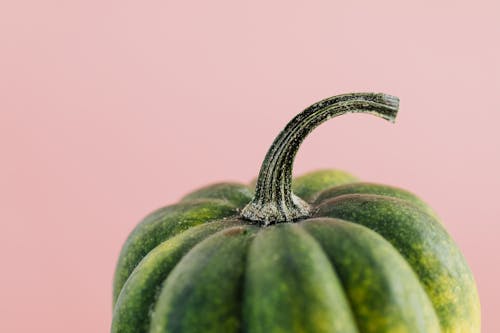 Close-up Shot of a Gourd Pumpkin Vegetable