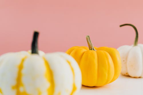 Yellow and White Pumpkins over a White Table