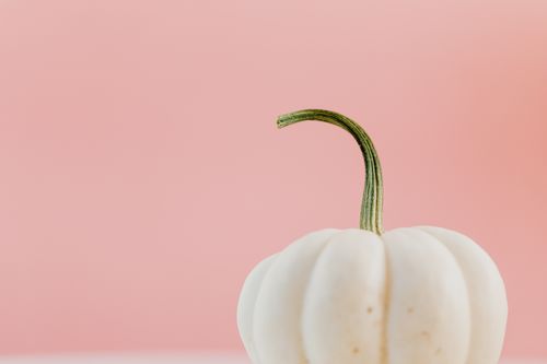 Free Aesthetic close-up of a white pumpkin set against a soft pink backdrop, perfect for seasonal themes. Stock Photo