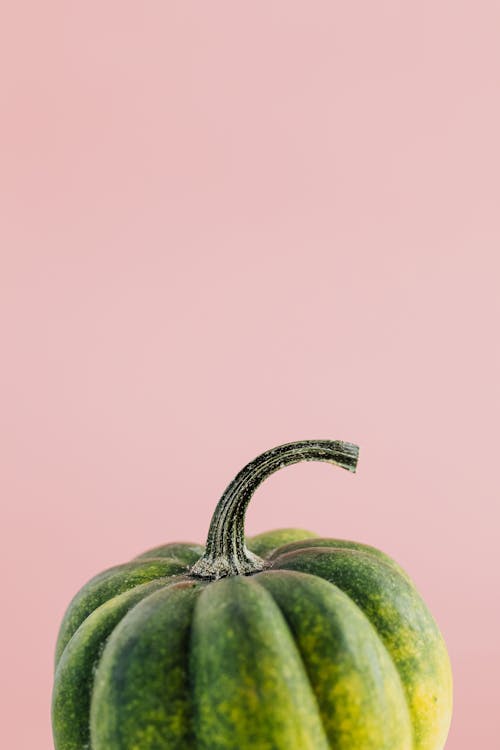 Green Pumpkin in Close-up Shot
