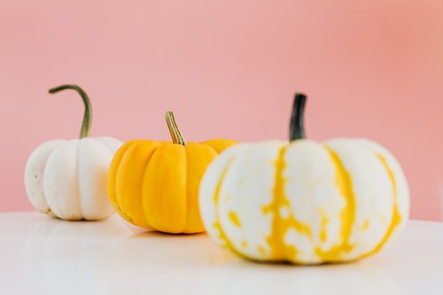 Free Three miniature pumpkins in white and yellow hues on a pink pastel background. Stock Photo