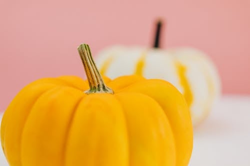 Disjunct Yellow and White Pumpkins with Vines 