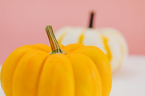 Free Close-up of yellow and white pumpkins against a pastel pink background, perfect for autumn themes. Stock Photo