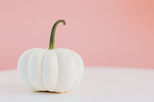 Free Minimalist white pumpkin against a pink background with ample copy space for fall-themed designs. Stock Photo