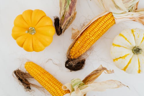 Close-up of Corn Cobs and Pumpkins