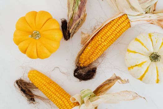 Top view of vibrant corn cobs and squash, perfect for fall-themed stock imagery.