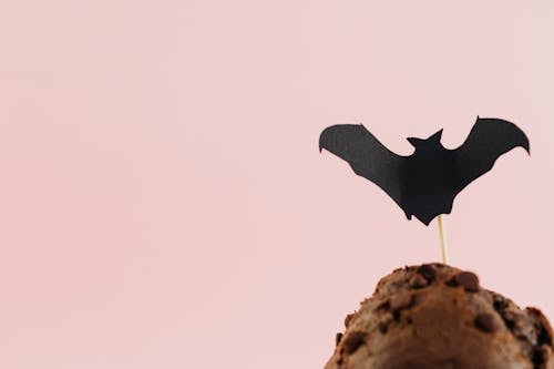 Close Up of Paper Bat on Chocolate Muffin