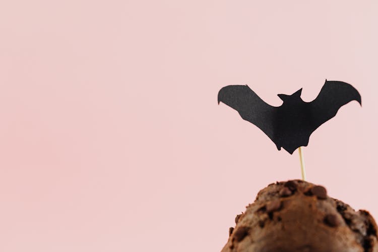 Close Up Of Paper Bat On Chocolate Muffin