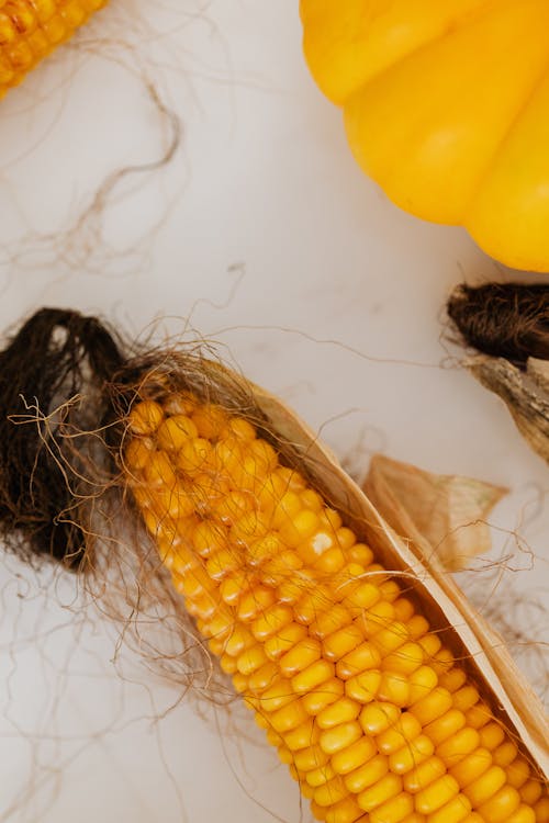 Close up of a Corn