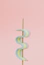 Jelly Candy on Stick on Pink Background