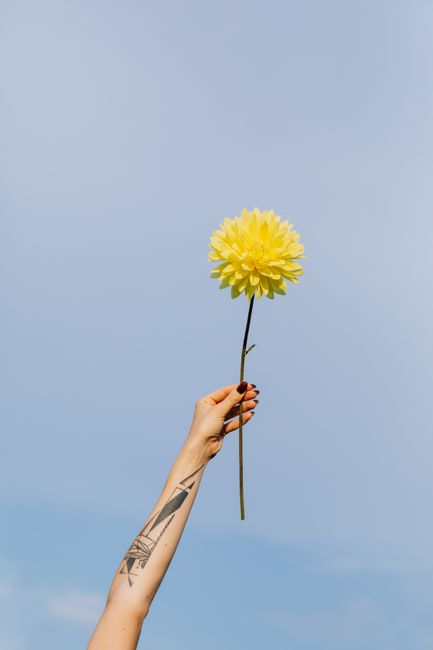 A tattooed arm extends upward, holding a yellow dahlia against a clear blue sky in a vibrant summer scene.