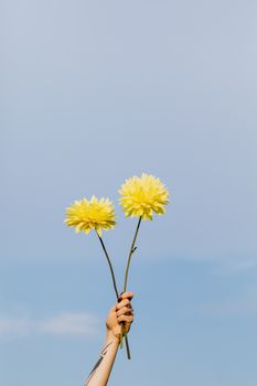 手臂上的两朵黄色花朵与清澈的蓝天形成鲜明对比，象征着自然与简约