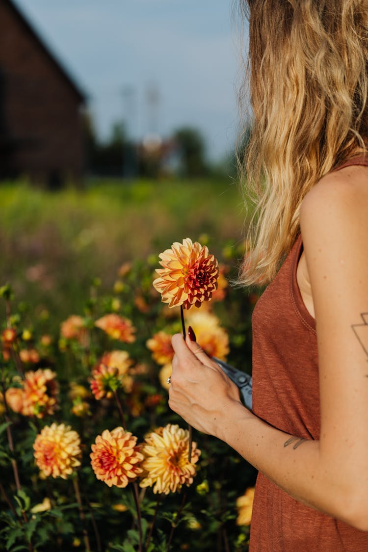 Woman Holding A Dahlia Flower