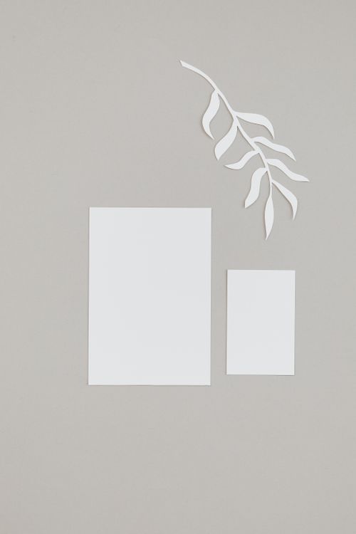 Free Abstract design featuring white paper sheets and leaf cutout on gray background. Stock Photo