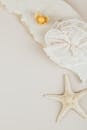 一个视觉上令人愉快的组成具有象牙海星，精致的纺织品，并在工作室设置自然装饰