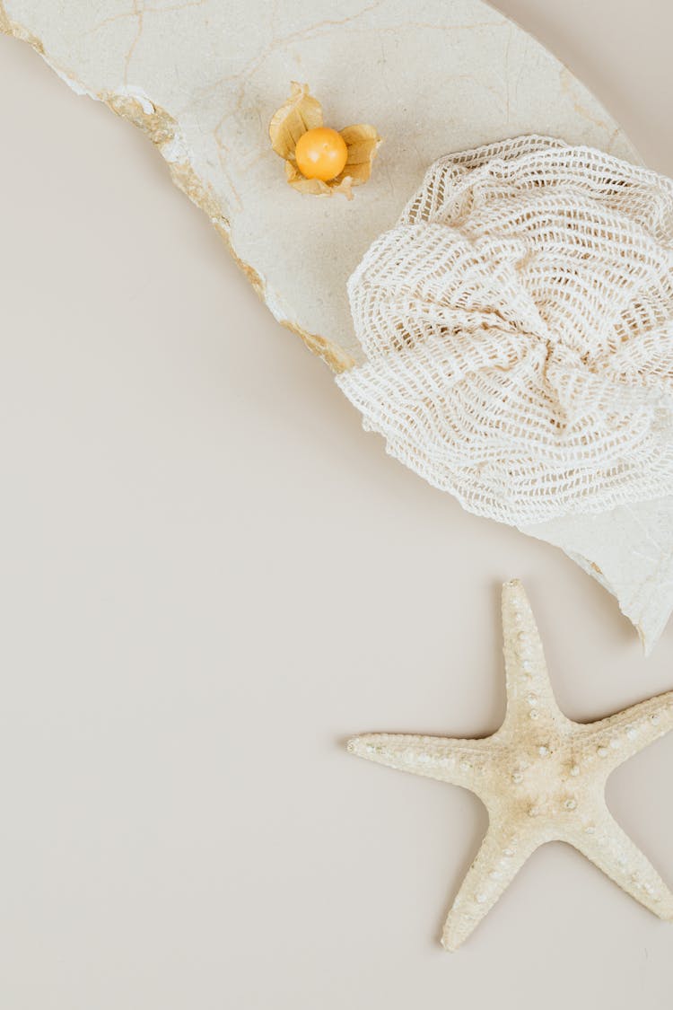 Top View Of White Still Life With Starfish