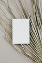 White Printer Paper on White Surface