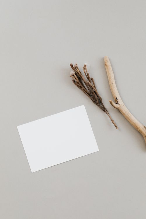 Free Minimalist flat lay featuring twigs, driftwood, and a blank card on a grey background. Stock Photo