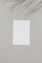 Empty White Paper Card