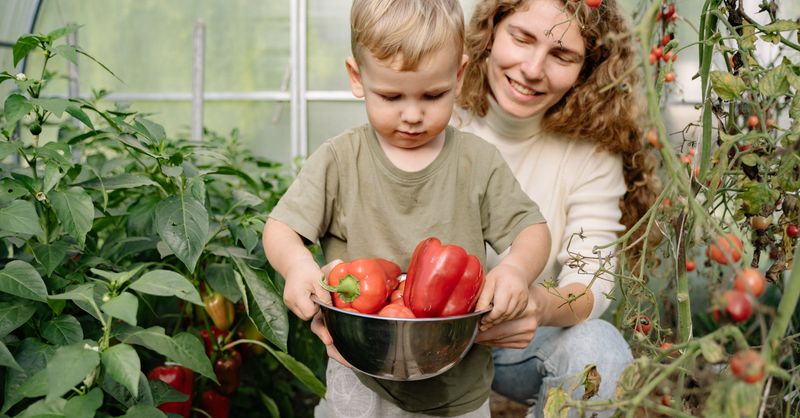 Recette Légumes Enfants : 5 Astuces Faciles