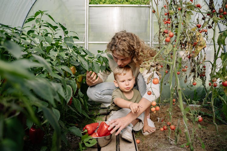 Mother And Child Gathering Vegetables In Greenhouse