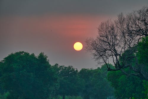 Základová fotografie zdarma na téma malebný, příroda, soumrak