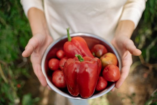 Close-up of hands holding a bowl filled with fresh red bell peppers and tomatoes outdoors.