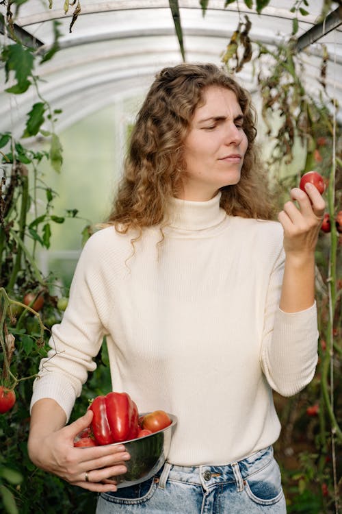 A Woman Harvesting Tomatoes Inside a Green House