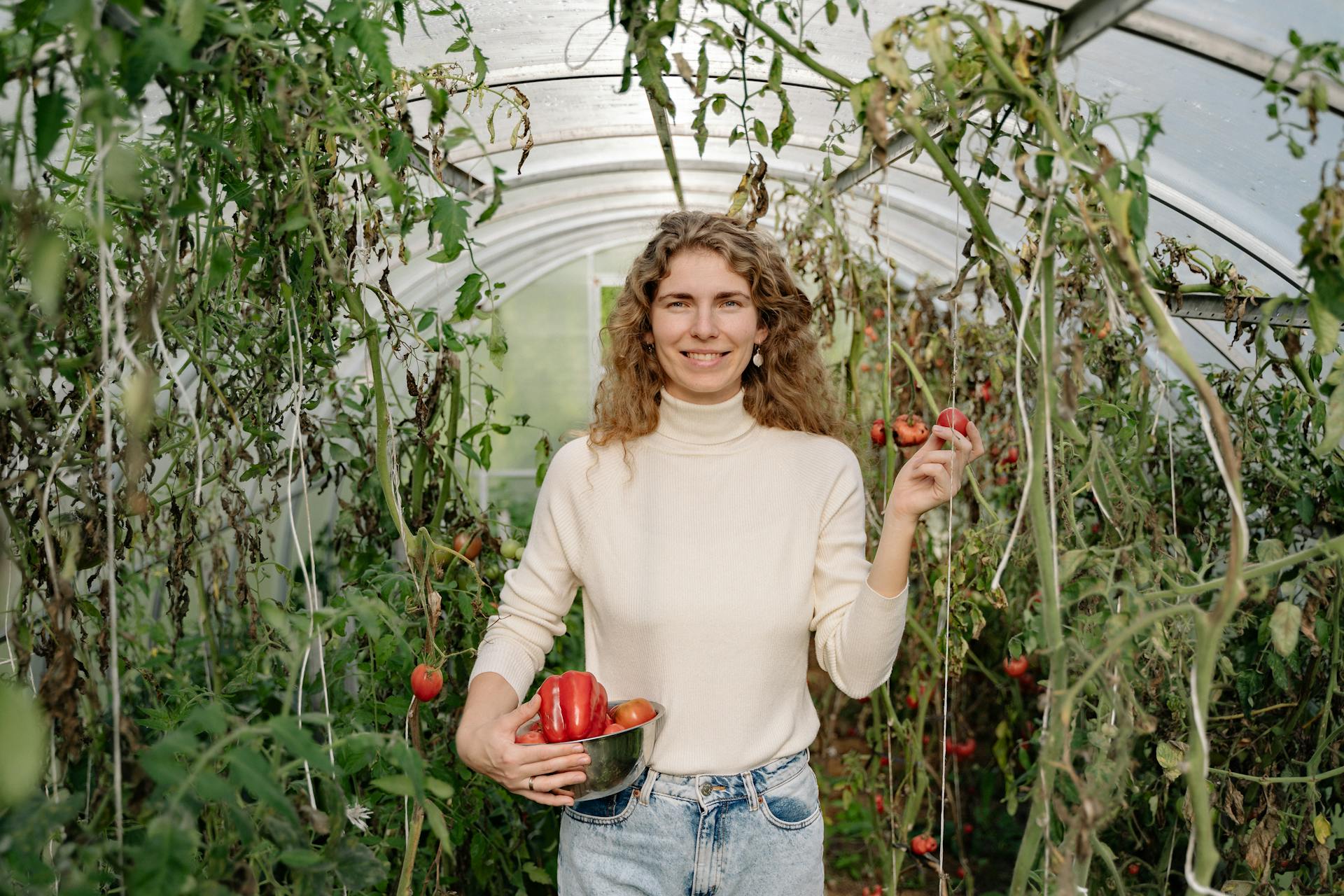 A Woman Harvesting Crops Inside a Greenhouse