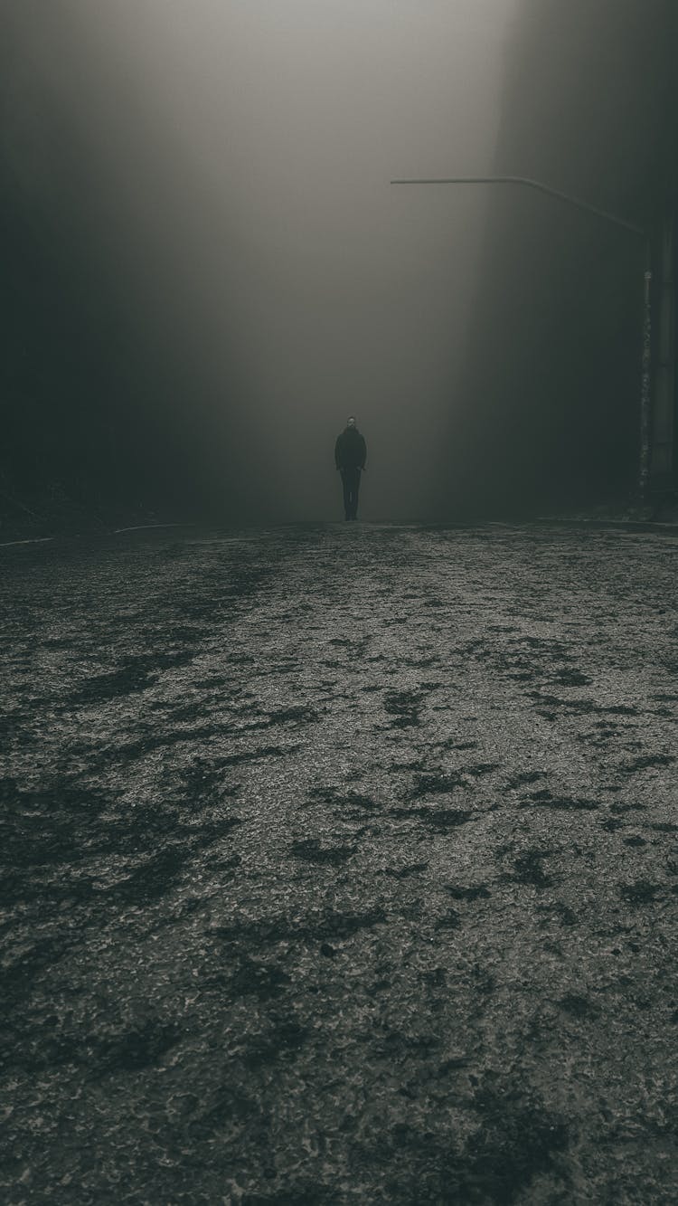 Dark Toned Image Of A Man Standing On Frosted Terrain