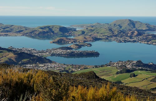 Free stock photo of bay view, blue sea, otago harbour from hillside Stock Photo